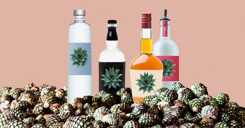 無酒精飲品如何實(shí)現(xiàn)“酒香四溢”？看國外酒企創(chuàng)新酒精飲料的三大路徑